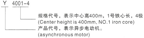 西安泰富西玛Y系列(H355-1000)高压高唐三相异步电机型号说明